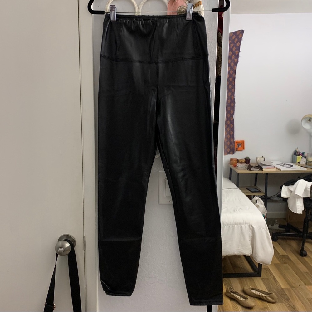 Aritzia Daría leather pants